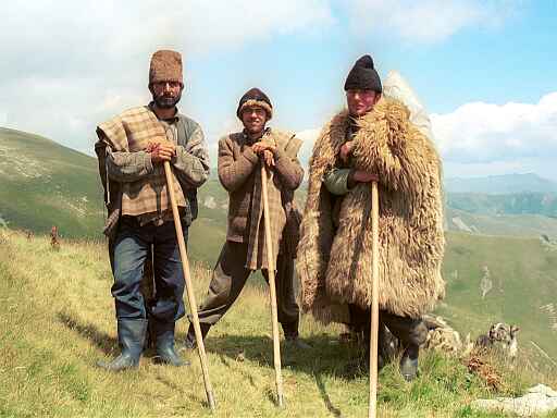 Pasterze z Titerleti pod vf. Crnea